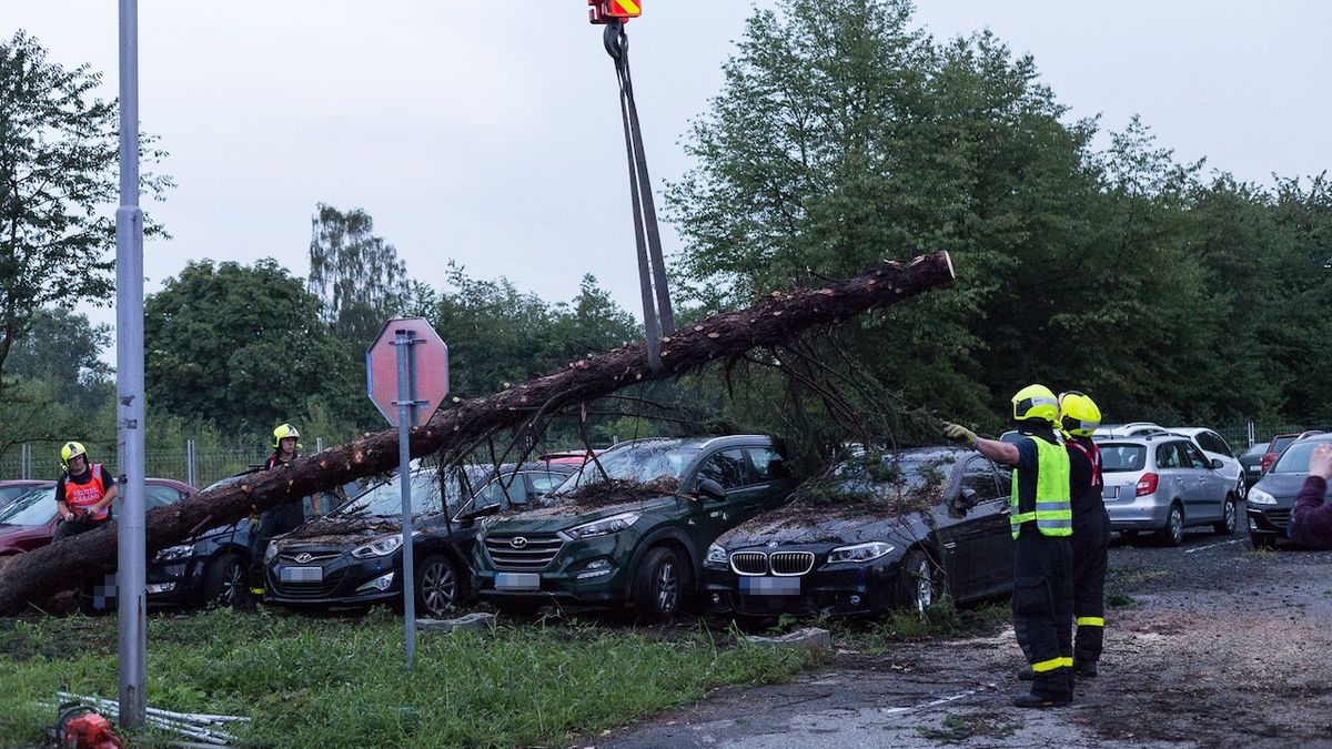 Kvůli popadaným stromům bylo v Česku téměř 100 tisíc domácností bez elektřiny
